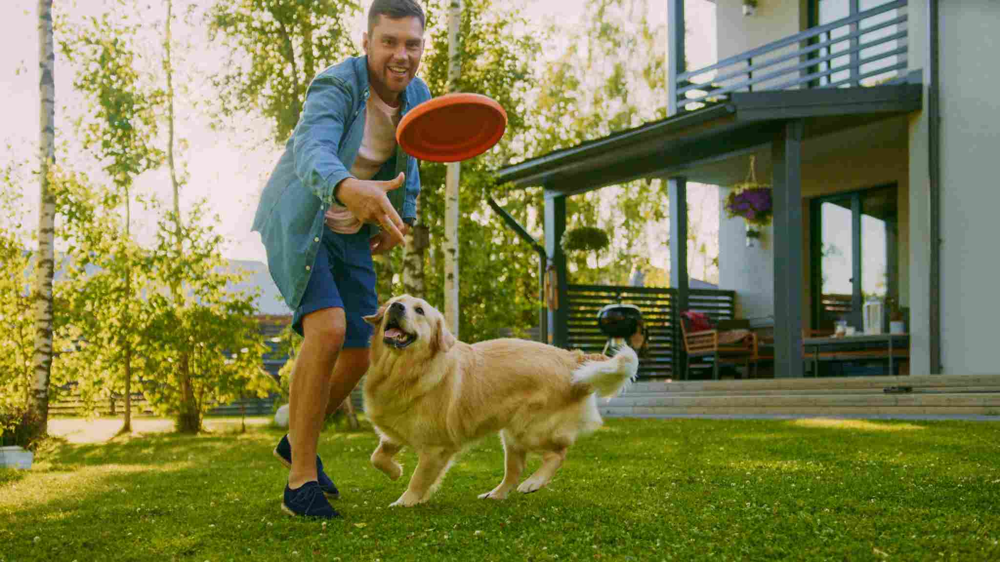 Confira o guia completo que preparamos para te auxiliar no cuidado com pets e aproveite as melhores dicas e produtos aqui no Mart Minas