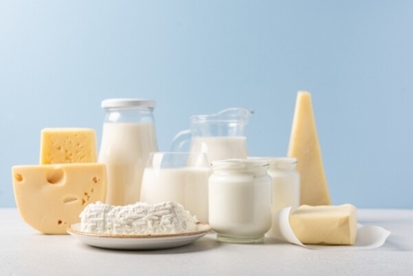 Laticínios sobre mesa: leite, queijo, manteiga, iogurte ou creme azedo, queijo cottage.