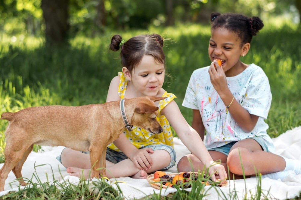 Duas crianças sentadas sobre uma manta branca em área gramada ao ar livre, aproveitando um piquenique em um dia ensolarado. Elas interagem com um prato de frutas ou lanches, enquanto um pequeno cachorro marrom observa curioso.