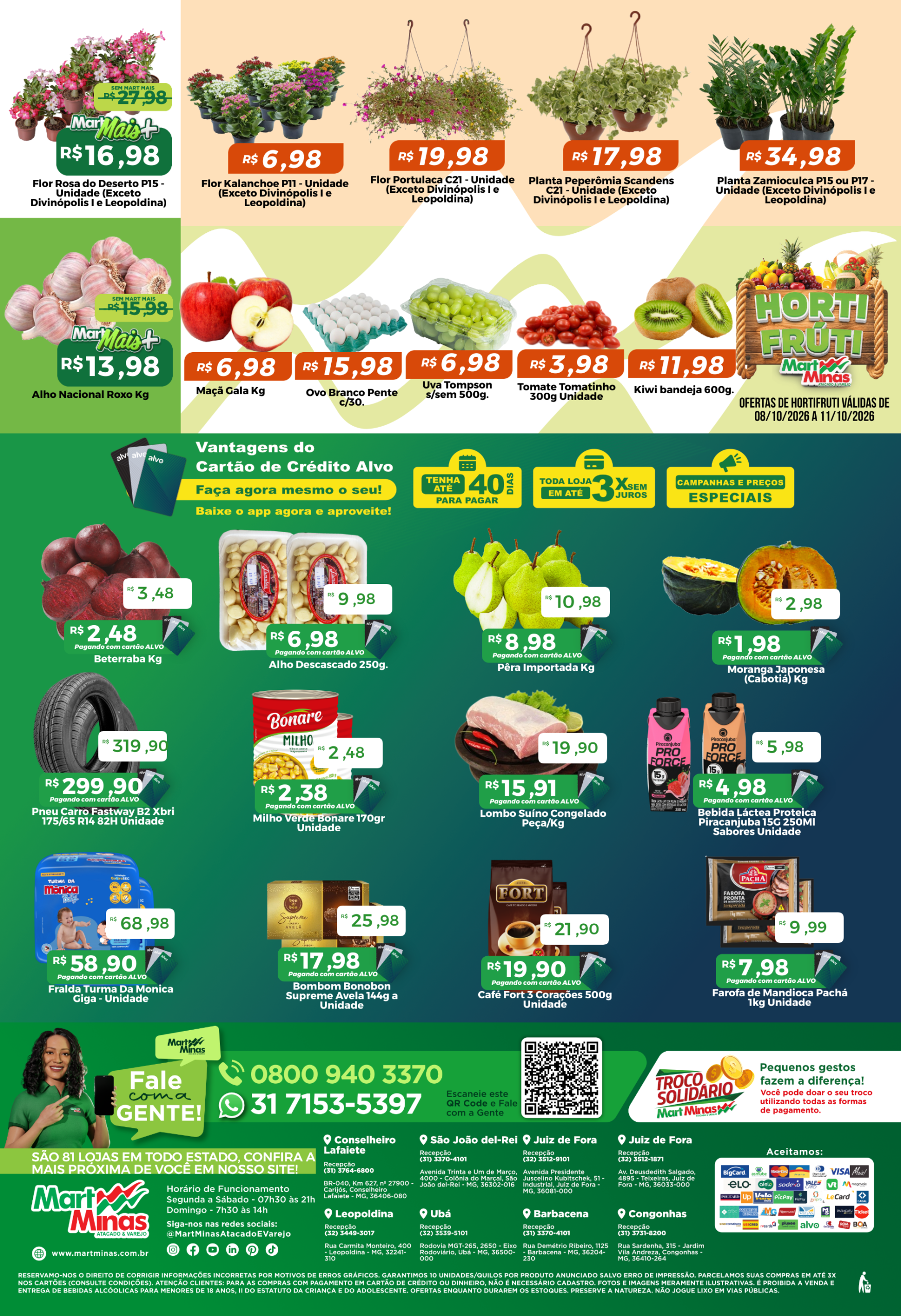 campanha-10689-cluster-254-pagina-8